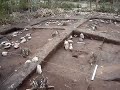 mamoa 4