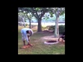 Animal abuse in Msia