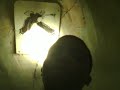 Shinkermy killed dis jawn A Millie Freestyle