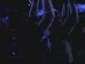 spain: eurovision 2007