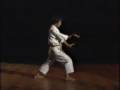 Empi Kawazoe Sensei