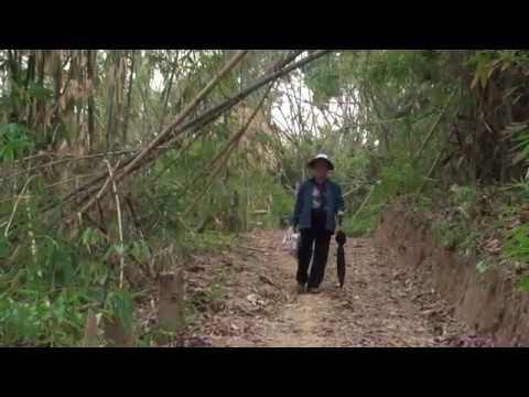 hmoob - 720P HD, I found out that one of the Sound track was muted, so I redo and reload it. This is an older VDO, reedited in HD, and many of you probably haven't s...