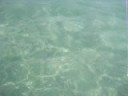Lexie in Ocean
