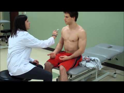 how to assess dermatomes