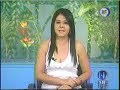 viviero hechos