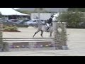 Vanquish 3' Hunter