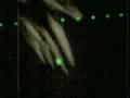 videos de L harp view