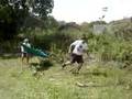 Gincapre