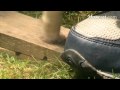 How To Make Fire With a Bow Drill