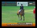 Showjumping Unplugged!TV $40,000 GP of Showpark- 08
