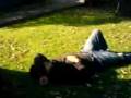 abraham pendejas 4