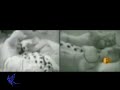 �ris e Alem�o -  Ultima Noite III