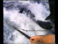 peche au requin reunion-big game shark fishing