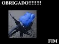 frases   pensamentos por allan garrido