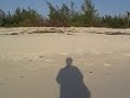 Cayo Largo. Cuba
