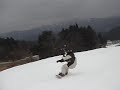 ??? 2006/12/7