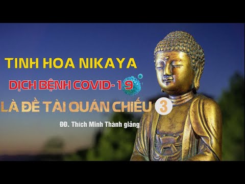 Tinh Hoa NIKAYA – Dịch Bệnh COVID 19 Là Đề Tài Quán Chiếu 3