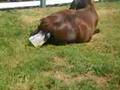 Chrissy giving birth