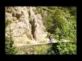 Guarda i video