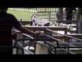 Rotorua revised - YouTube