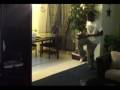 videos de Chipz-Star