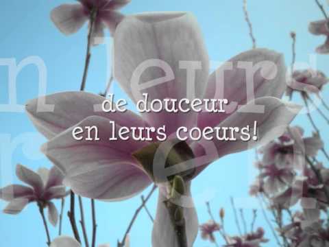 Image de prévisualisation YouTube