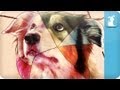 Behind the Scene: Gotye 