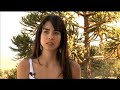 Renascimento M�dulo B�sico