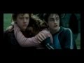 Ron &amp; Hermione - Always