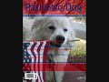 Another vedio of my poochie