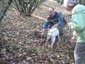 Truffle Hunting