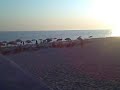 Albania In Your Pocket - Dh�rmi Beach Sunset