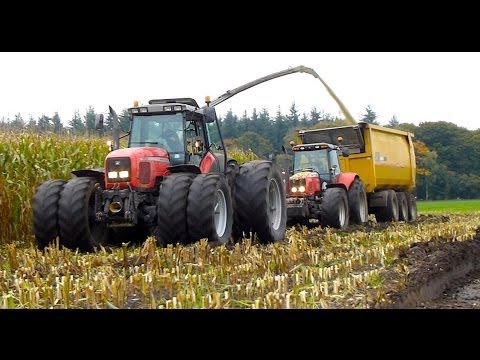 mf - Modderen in de mais hakselen bij Van Bakel Dairy (2013) - Claas Jaguar 980 + Orbis 900 12 row header - MF 8690 + USA Equipment 2000 CF - MF 7495 + USA Equipm...