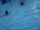 Mamal berenang