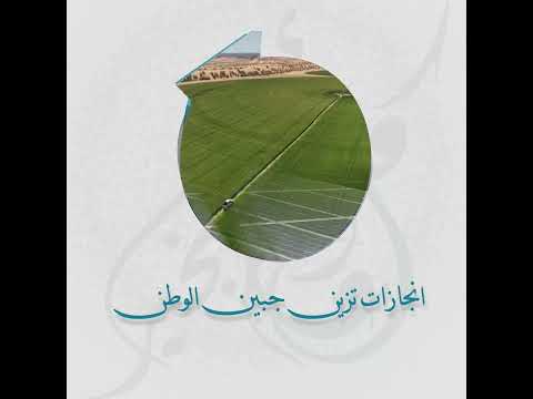 ألبوم الفيديو للعام 2024