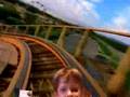 Rollercoaster Mishap
