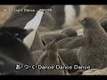 ?????? \"Moon Light Dance\" (1998)