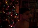 kids,tree,gerard