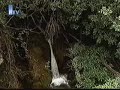 Pri?e o Hercegovini ?iroki Brijeg I
