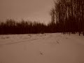 Arctic Cat Boondocking