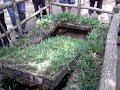 Man trap at Cu Chi war tunnels