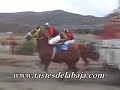 Click here to watch this video Carreras parejeras en tecate