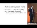 Dr. David Goldfarb on a low protein diet