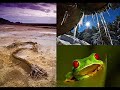 CAMBIO CLIMÁTICO CALENTAMIENTO GLOBAL