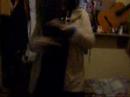 los trols