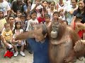 AP Top Stories