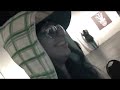 REAL FACES: MC ISAGE: ACOUSTIC HIP HOP DIVA!!! SAGIE WAGIE - HYPHEE WYFEE!!!