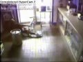 Best of Youtube     Worst Buglar of the world