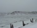 Blizzard in Wellfleet!