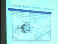 Dr. Peter Van Kaunten -- General Practitioner